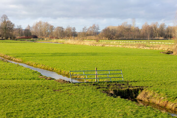 Countryside landscape with flat and low land in winter, Typical Dutch polder with green meadow and the fence, Small canal or ditch in between the grass field with sunlight, Noord Holland, Netherlands