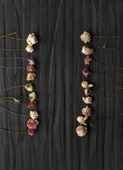 Dry roses on dark wooden background top view copy space.