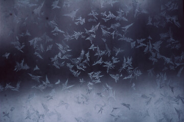 Frost on window in winter twilight