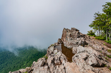 Fog Bank Approaching Little Stony Man Cliffs, Shenandoah National Park Virginia USA