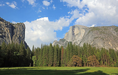 Grass, trees and rock - Yosemite NP, California