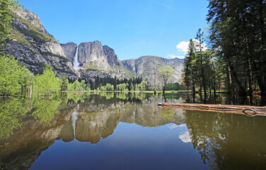 Fototapeta premium Reflection with wooden log - Yosemite NP, California