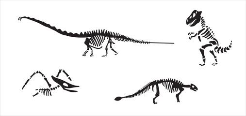 Dinosaur skeleton set diplodocus, triceratops, t-rex, stegosaurus, parasaurolophus etc. © Melek