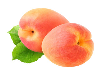 Two pink apricot fruits over leaves cut out