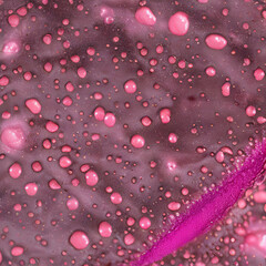 Abstract purple background with pink water droplets