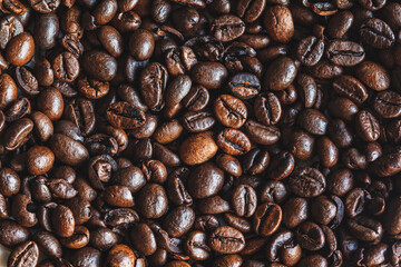 Coffee beans, fresh and roasted for delicious espresso