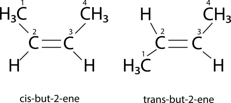 Geometric Isomerism known as cis-trans isomerism.vector image