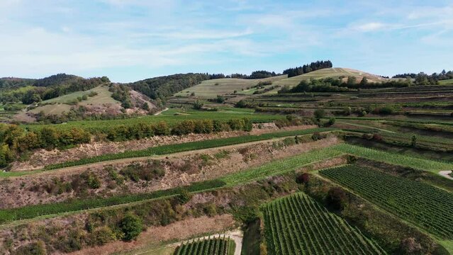 Drohnen Luftaufnahme von Schelingen am Kaiserstuhl mit Blick auf die Weinberge. Schelingen, Vogtsburg am Kaiserstuhl, Breisgau, Schwarzwald, Freiburg, Baden-W&uuml;rttemberg, Deutschland.