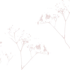 Delicate vector pattern with wild flowers, herbs botanicals. 