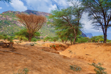 Fototapeta premium Scenic view of mountains at Ndoto Mountains Range in Ngurunit, Marsabit County, Kenya