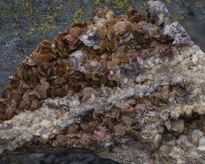 Rock of siderite mineral from Piedmont-Italy isolated on stony background