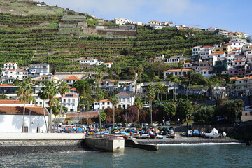 Fototapeta na wymiar Marina and houses at Baía de Câmara de Lobos, Madeira, Portugal