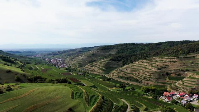 Drohnen Luftaufnahme von Schelingen am Kaiserstuhl mit Blick auf die Weinberge. Schelingen, Vogtsburg am Kaiserstuhl, Breisgau, Schwarzwald, Freiburg, Baden-W&uuml;rttemberg, Deutschland.