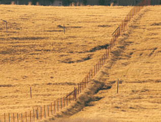 Obraz premium Dividing fence between two meadows on a hill, with dry winter grass.