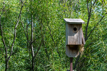 A Wooden Birdhouse In The Trees In Summer