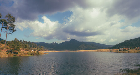 Forest landscape with a lake, many pine trees with a dominant green and blue color can be distinguished.