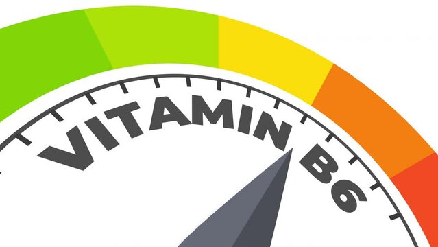 vitamin B6 level measuring device animation.zoom effect.Infographic gauge, tachometer, speedometer.