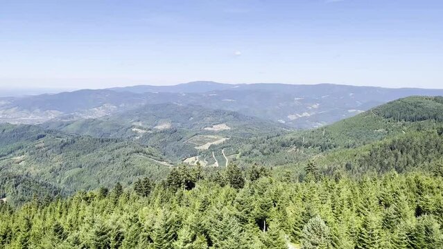 The wonderful view over the Black Forest