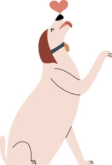 Friendly dog ​​labrador gives a paw and with a heart on his nose. Valentine's day doggy ​​element