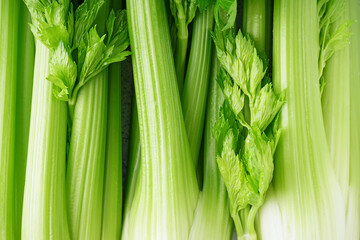 Fresh green celery as background, closeup