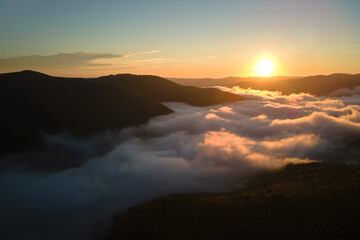Obraz premium Aerial view of foggy evening over dark pine forest trees at bright sunset. Amazingl scenery of wild mountain woodland at dusk