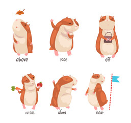 Cute hamster demonstrating English language prepositions of place set. Above, pace, off, versus, afore words. Educational material for kids education cartoon vector illustration