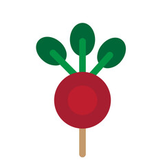 Radish Flat Icon