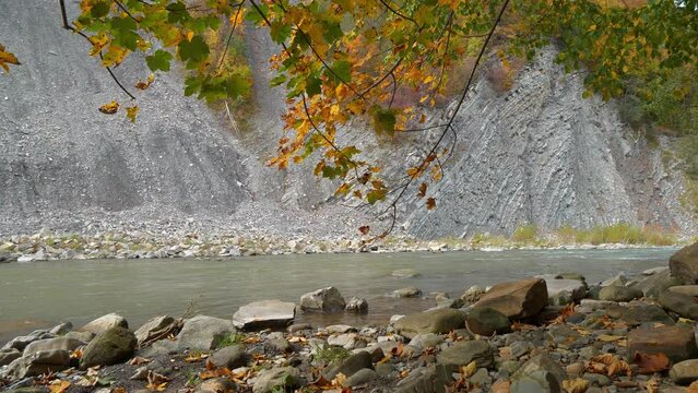 Prut river and mountain folds in Yaremche city, western Ukraine, known as Yaremche folds - biggest outcrop of Stryi formation in Europe, are gothic or chevron types, video with sound