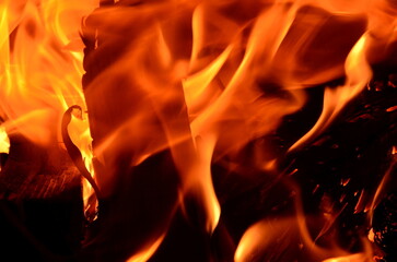 The graphic resource consists of flames from burning firewood.