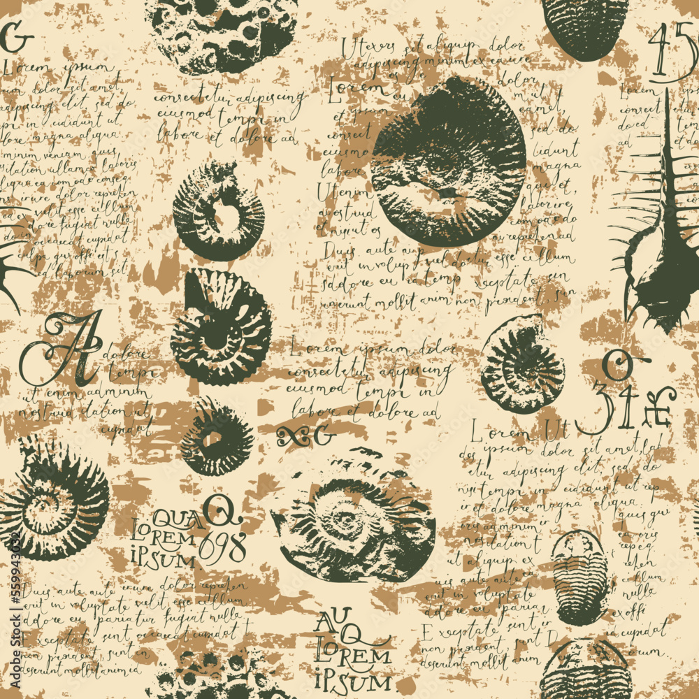 Poster vector seamless pattern background with imprint of ancient ammonite shells and trilobites and text l