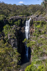 Obraz premium Carrington Falls, Southerland Highlands, New SOuth Wales Australia