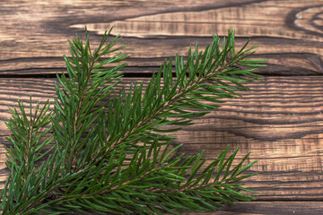 New Year composition from a fresh branch of a Christmas tree on a wooden background