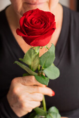 An unrecognizable woman holding a beautiful fresh red rose.