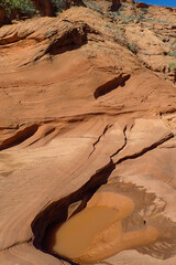 Mudpuddle in the desert