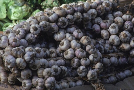 Garlic cloves, Olite, Navarre, Spain.