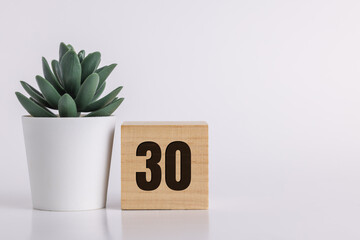 Number  30 on wooden pine block on white background next to a succulent plant with room for copy or...