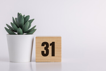 Number 31  on wooden pine block on white background next to a succulent plant with room for copy or...