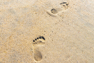 Footprint footprints on the beach sand by the water Mexico.