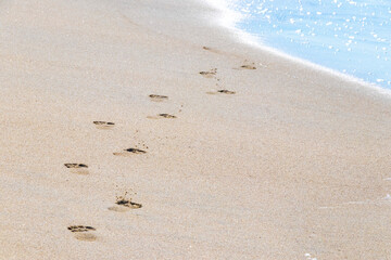 Footprint footprints on the beach sand by the water Mexico.