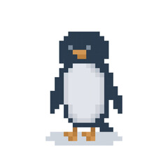 Cute penguin, animal pixel art