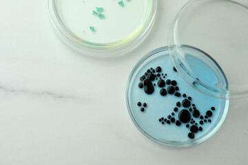 Petri dishes with cultures on white marble table, flat lay. Space for text