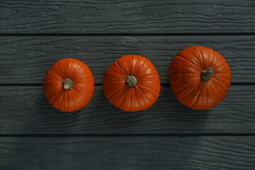 Many whole ripe pumpkins on wooden table, flat lay