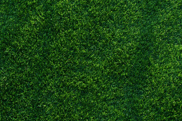 Fototapeta premium green grass texture