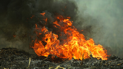 A fire is burning the meadow by the road.    