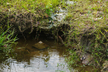 Small water stream flowing through grass on nature