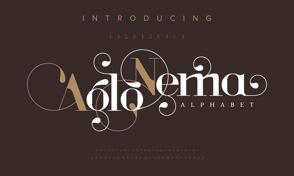 Aglonema abstract luxury fashion font alphabet. Typography swirl typeface uppercase lowercase and number. vector illustration