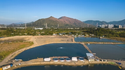 Obraz premium 6 Jan 2023 Shan Pui Fish Pond, Nam Sang Wai, hong kong