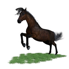 Horse pose illustration 3d rendering