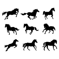 Set silhouette of wild horses in isolate on a white background. Vector illustration.