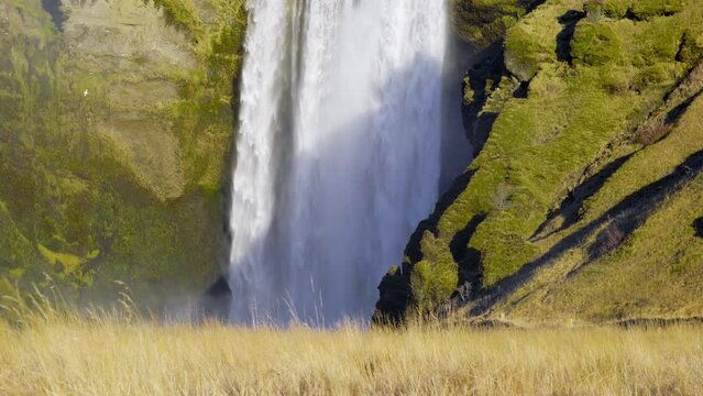 Skogafoss Famous Waterfall in Iceland, Autumn Season on Skoga River. Big Water Stream From Mountain. Popular tourist attraction, Go Everywhere. Travel Europe. Shot in 8K Resolution 4320p